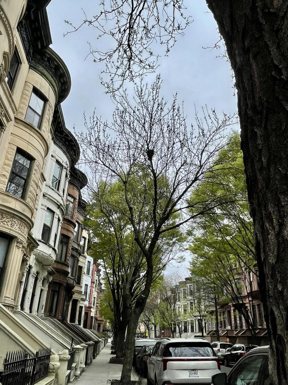 Nyc Townhouse Apartment New York Luaran gambar